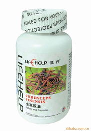 虫草胶囊与白芷胶囊 广州莱邦健康食品科技的产品特点与应用解析
