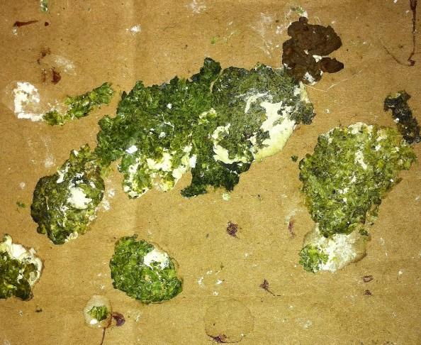 还是生病了?需要用沙门氏菌药胶囊药吗?